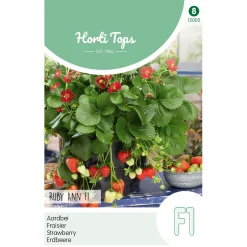 Horti Tops Moestuin<Aardbeien Ruby Ann hangaardbei