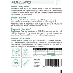 Horti Tops Moestuin<Aardbeien Ruby Ann hangaardbei