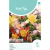 Horti Tops Moestuin<Akelei Mrs. Scott Elliott