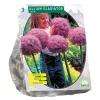 Baltus Bodemverbeteraars<Allium Gladiator His Excellence per 3