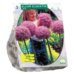 Baltus Bodemverbeteraars<Allium Gladiator His Excellence per 3