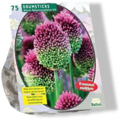 Baltus Bodemverbeteraars<Allium Sphaerocephalon per 75