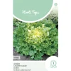 Horti Tops Moestuin<Andijvie Nuance