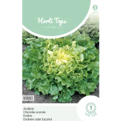 Horti Tops Moestuin<Andijvie Nuance