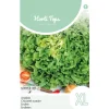 Horti Tops Moestuin<Andijvie nummer vijf