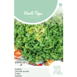 Horti Tops Moestuin<Andijvie nummer vijf