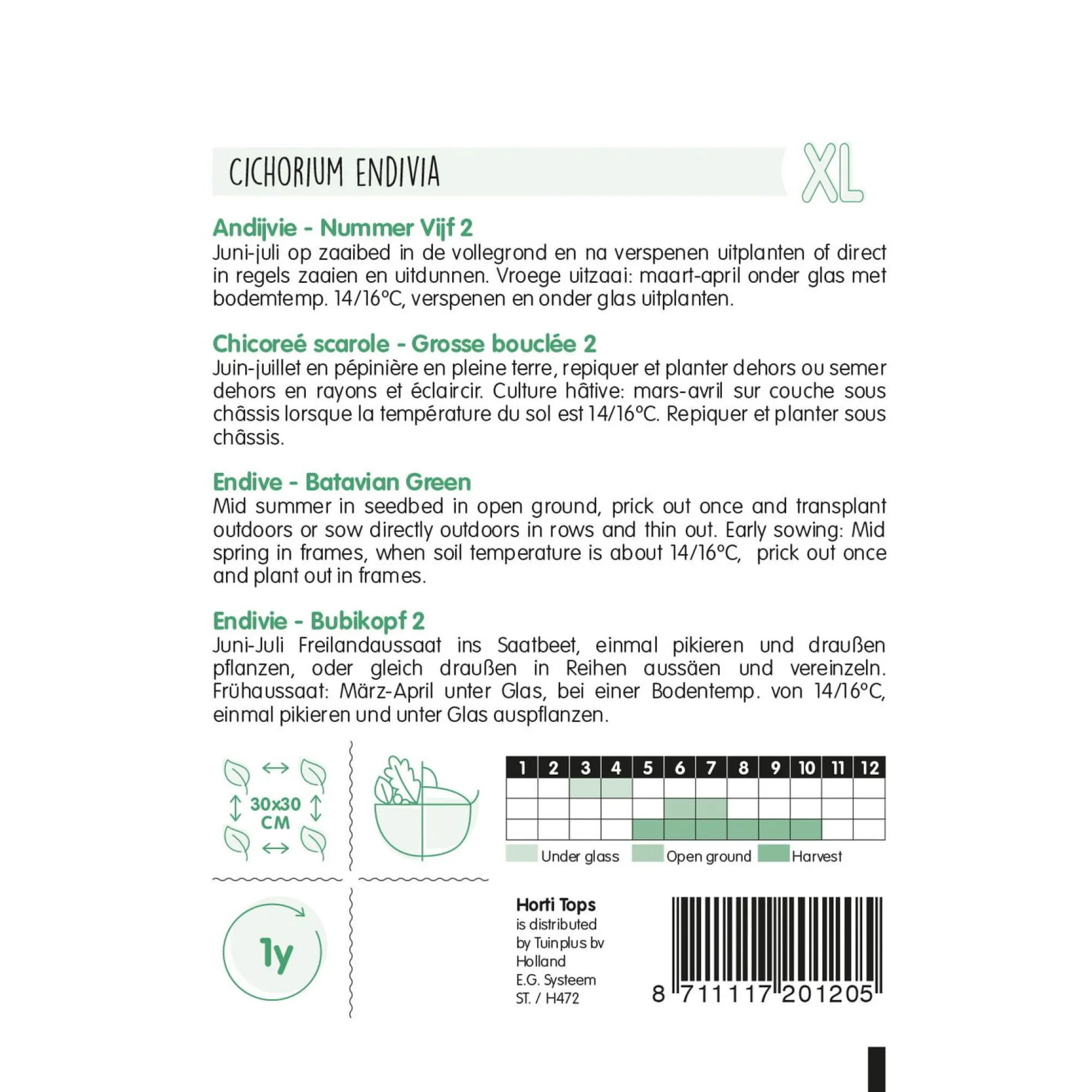 Horti Tops Moestuin<Andijvie nummer vijf
