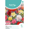 Horti Tops Moestuin<Anjer Grenadin mix
