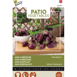 Buzzy Moestuin<Aubergine Patio baby F1
