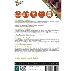 Buzzy Moestuin<Aubergine Patio baby F1