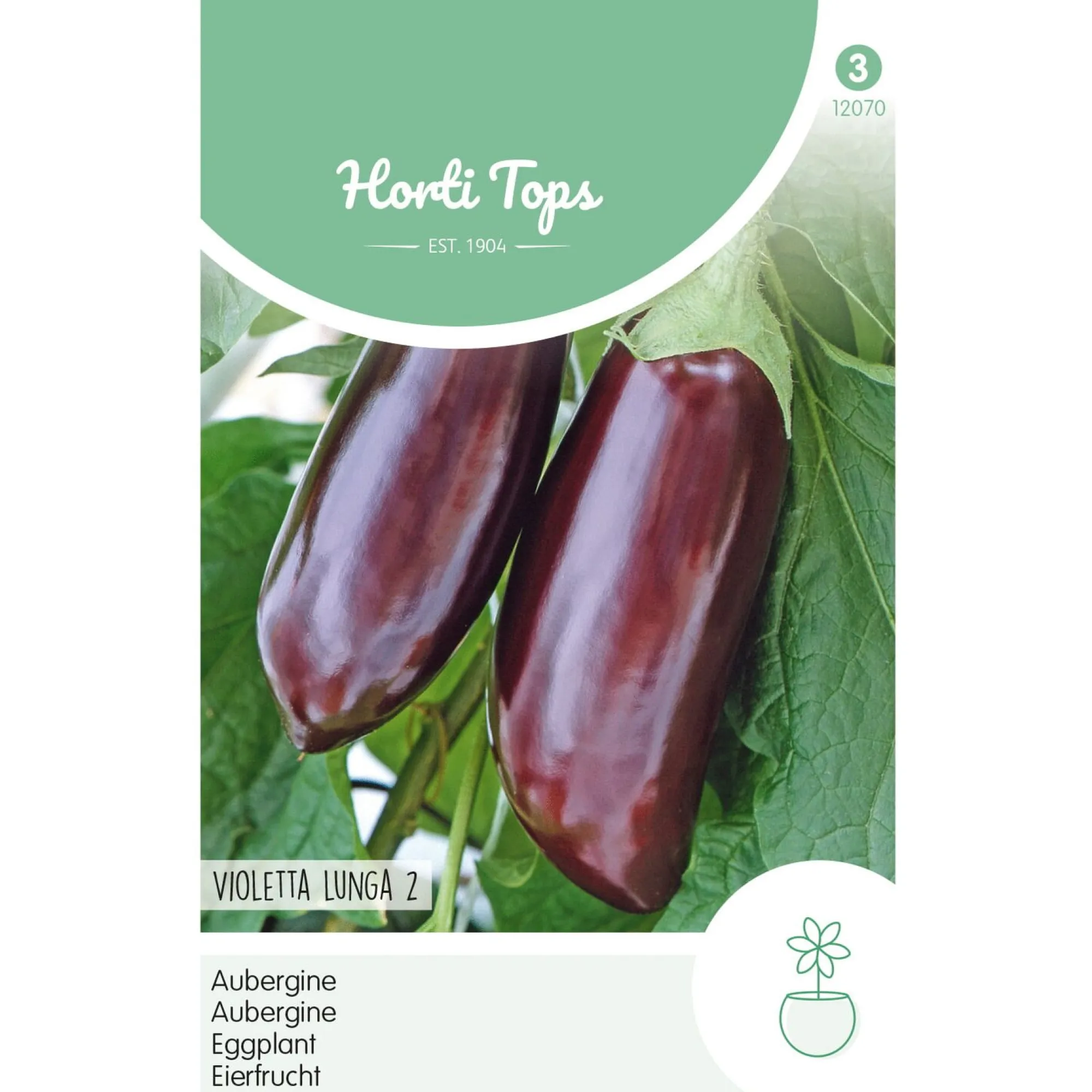 Horti Tops Moestuin<Aubergine violetta lunga 2