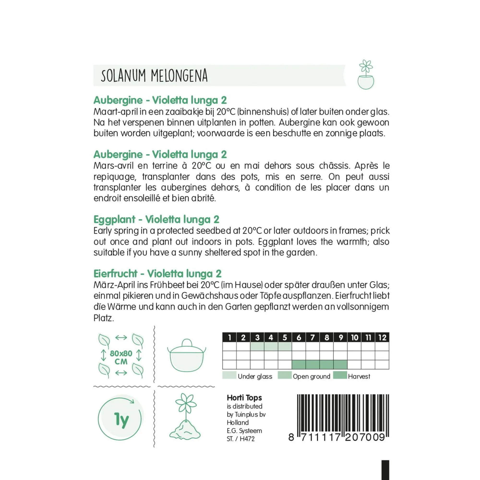 Horti Tops Moestuin<Aubergine violetta lunga 2