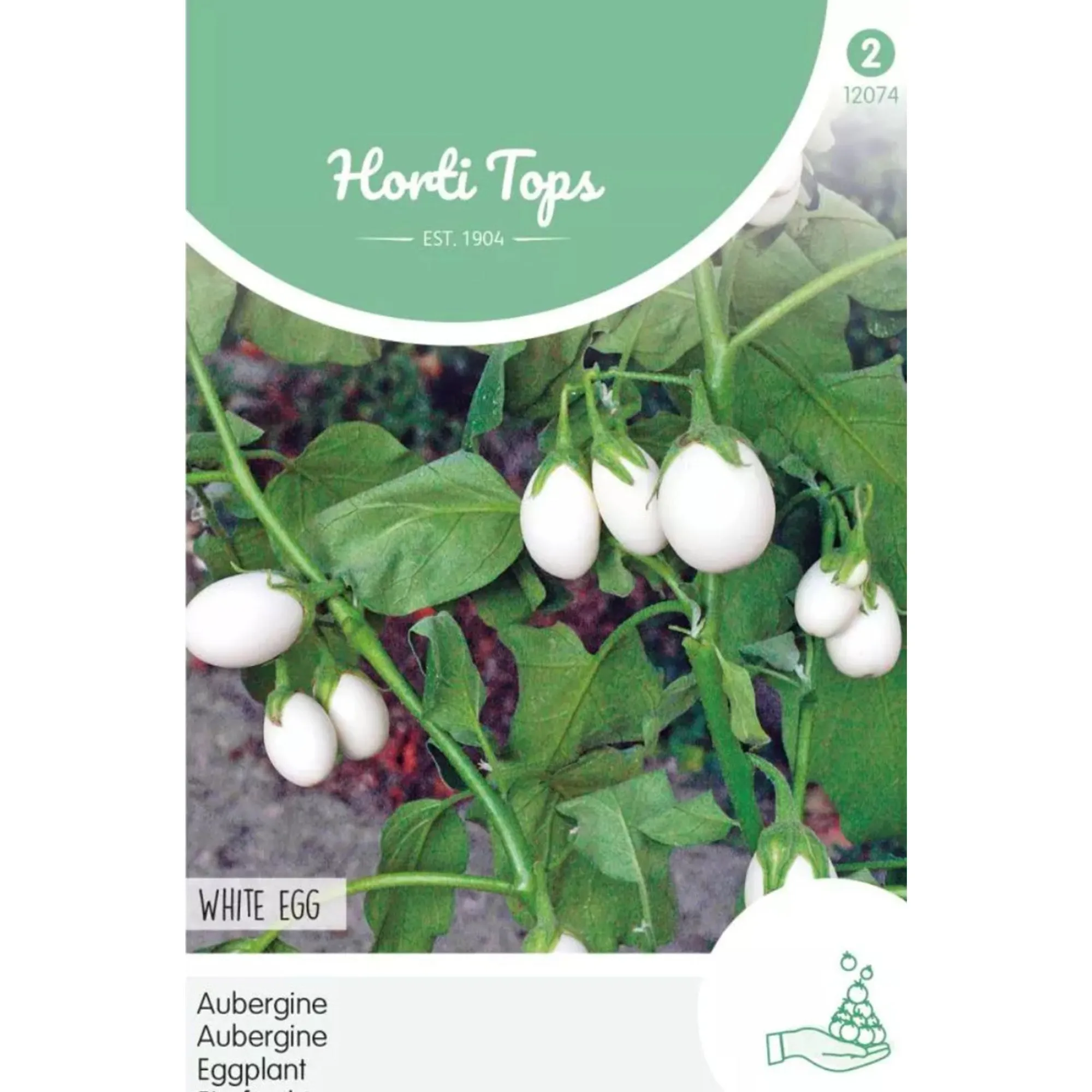 Horti Tops Moestuin<Aubergine white Eggs