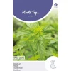 Horti Tops Moestuin<Basilicum fijnbladig zaad
