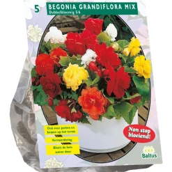 Baltus Bodemverbeteraars<Begonia dubbelbloemig mix 5st.