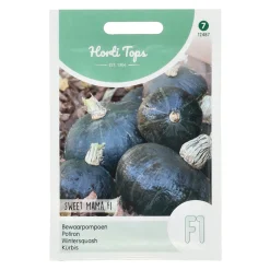 Horti Tops Moestuin<Bewaarpompoen sweet mama F1 zaad
