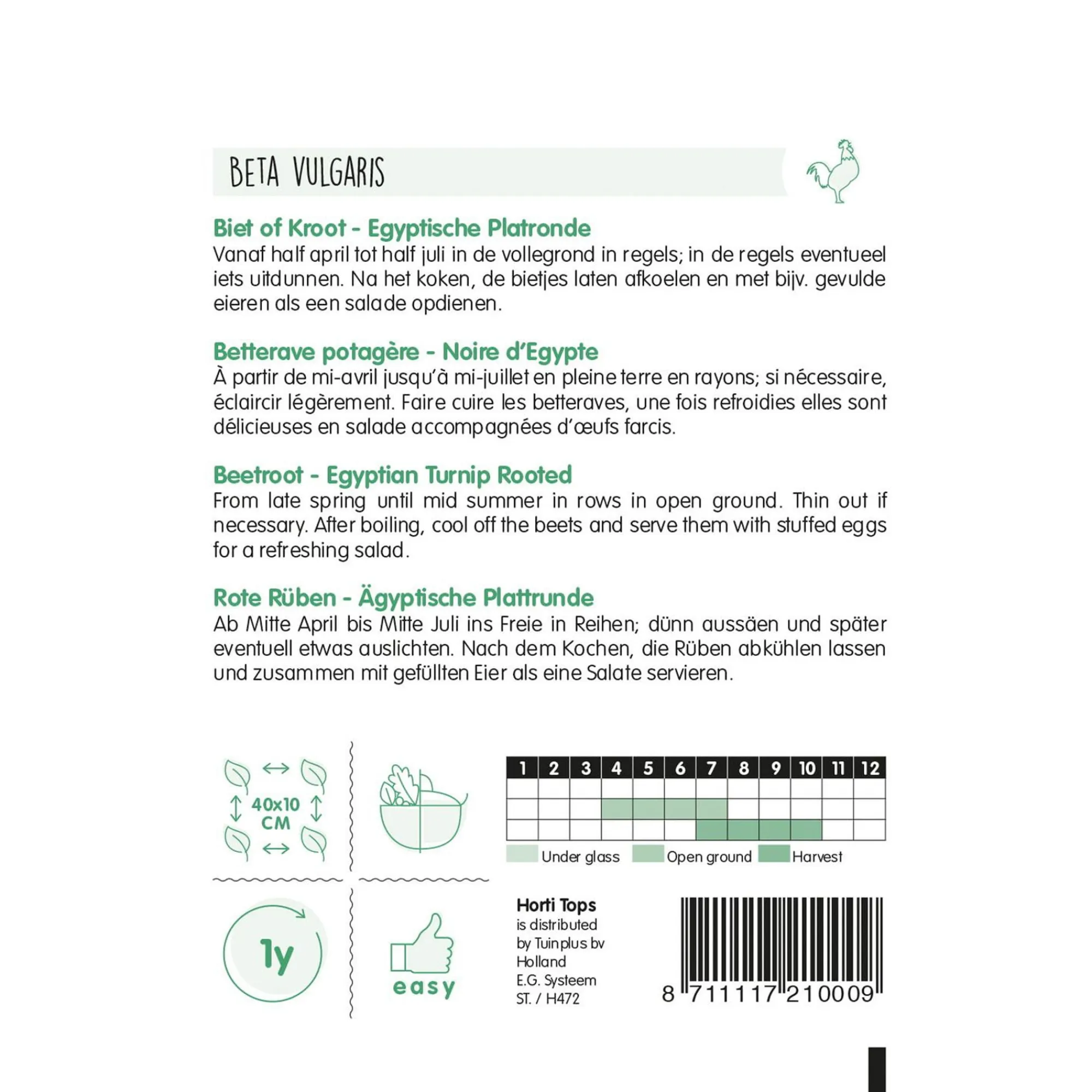 Horti Tops Moestuin<Bieten Egyptische platronde