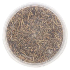 Smulti Vogelvoer<Black soldier flies 3L