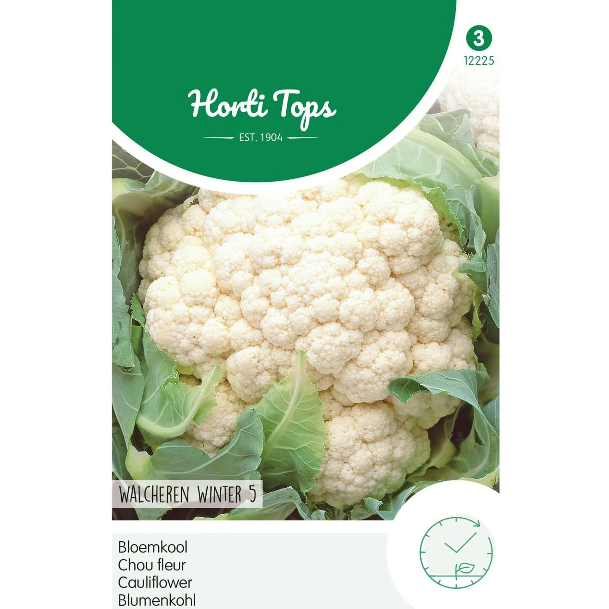 Horti Tops Moestuin<Bloemkool walcheren winter 5