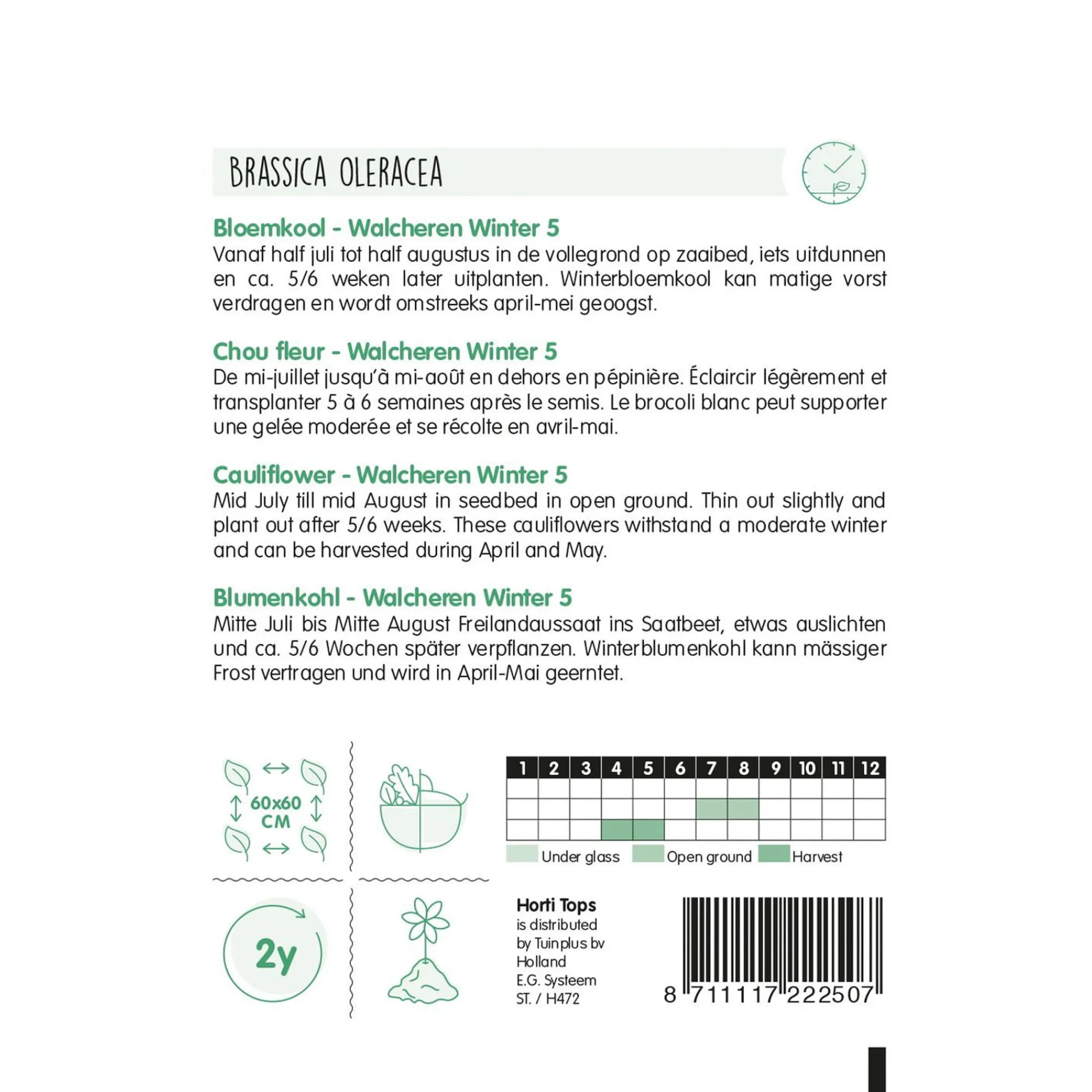 Horti Tops Moestuin<Bloemkool walcheren winter 5