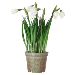 Mica Decorations Kunstplanten En Kunstbloemen<Bloem sneeuwklokje 24 cm