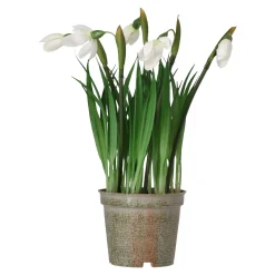 Mica Decorations Kunstplanten En Kunstbloemen<Bloem sneeuwklokje 24 cm