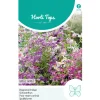 Horti Tops Moestuin<Boerenochidee Angel Wings