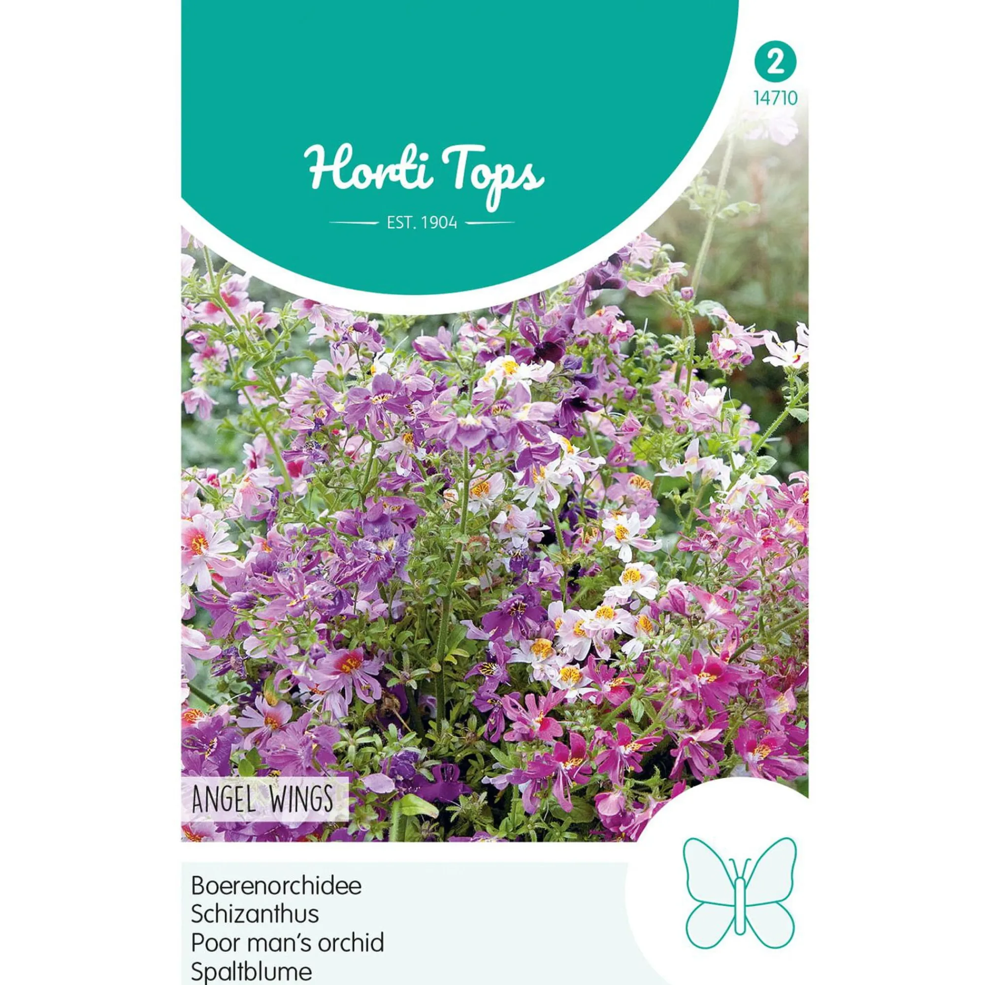 Horti Tops Moestuin<Boerenochidee Angel Wings