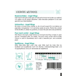 Horti Tops Moestuin<Boerenochidee Angel Wings