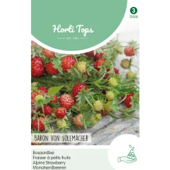 Horti Tops Moestuin<Bosaardbei Baron von Solemacher zaad