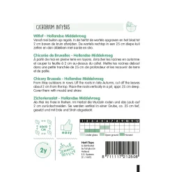 Horti Tops Moestuin<Brussels witlof Hollands middelvroeg