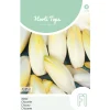 Horti Tops Moestuin<Brussels witlof zoom