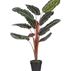 Mica Decorations Kunstplanten En Kunstbloemen<Calathea roseopicta in pot 90 cm