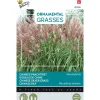 Buzzy Moestuin<Chinees Prachtriet