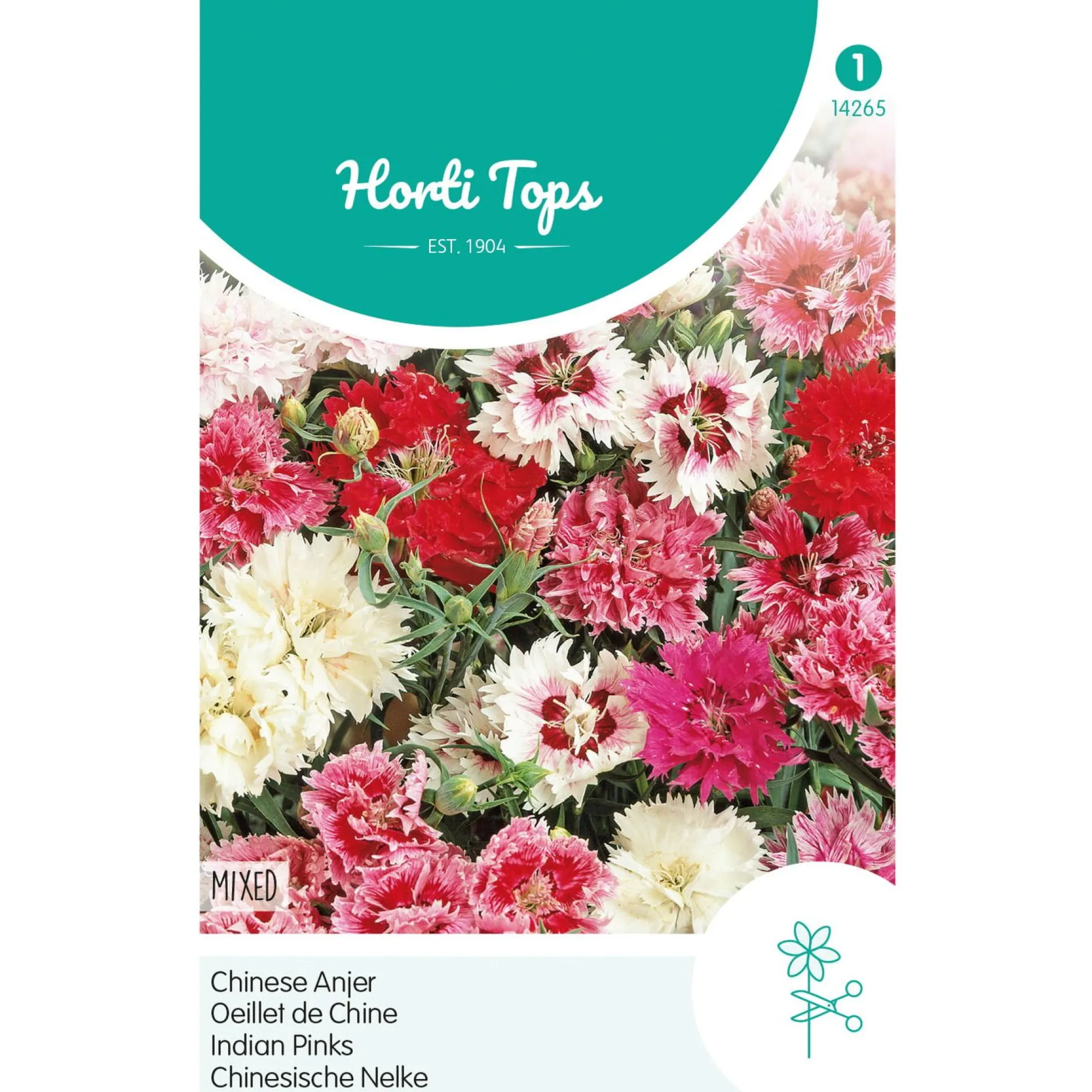 Horti Tops Moestuin<Chinese anjer Mix