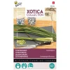 Buzzy Moestuin<Citroengras