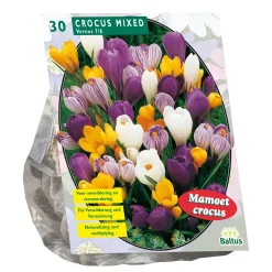 Baltus Bodemverbeteraars<Crocus Grootbloemig mix per 30