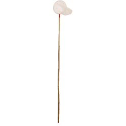 Gebr. de Boon Vijver<Dafnianet 19cm