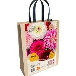 Baltus Bodemverbeteraars<Dahlia Flower my life giftbag