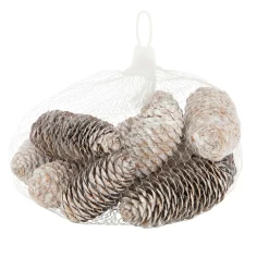 Natural Collections Kerstdecoratie<Dennenappel snowy white 150g