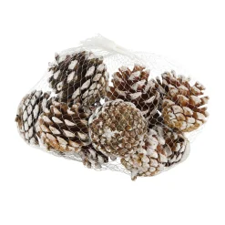Natural Collections Kerstdecoratie<Dennenappel whitewash 200g