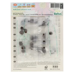 Baltus Bodemverbeteraars<Eranthis Cilicica per 30