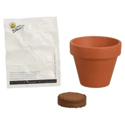 Buzzy Moestuin<Flower Gift Zonnebloem