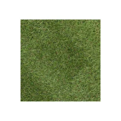 Bel Garden Grondbedekking<Grastapijt Carrow Road 1x4M