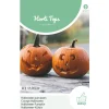 Horti Tops Moestuin<Halloween Pompoen Jack O'Lantern zaad