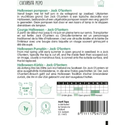 Horti Tops Moestuin<Halloween Pompoen Jack O'Lantern zaad