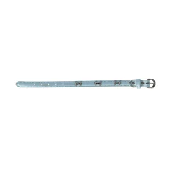 Friendly Pet Hondenriem<Halsband bot blauw 16mmx35cm