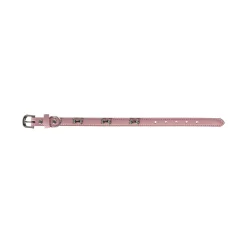 Friendly Pet Hondenriem<Halsband bot roze 16mmx35cm