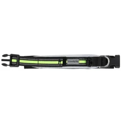 Friendly Pet Hondenriem<Halsband clip reflec 25mmx22-26cm
