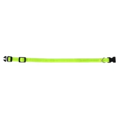 Friendly Pet Hondenriem<Halsband fluo geel 15mm 25-40cm FP